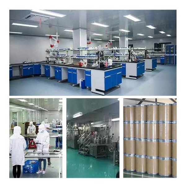 الصين Shaanxi Baisifu Biological Engineering Co., Ltd. ملف الشركة