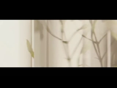 زيت شجرة الشاي الزيت الأساسي لللافندر زيت النعناع زيت شجرة الكمفر زيت الدماغ الزيت الأساسي للوردة