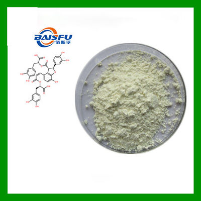 Baisfu White Fine Powder Factory Bulk Supply Natural High Quality 98% Salvianolic Acid B CAS NO.115939-25-8
