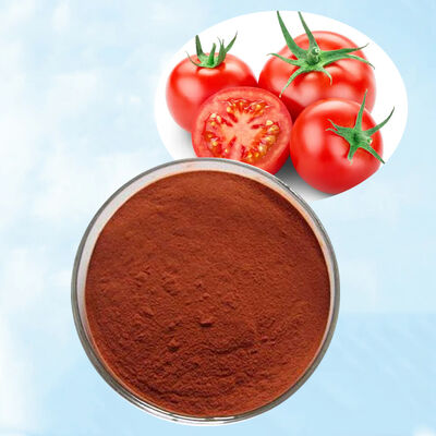 Baisfu Best Quality Lycopene Extract Powder Dark Red Fine Powder for Health Supplements and Natural Colorant