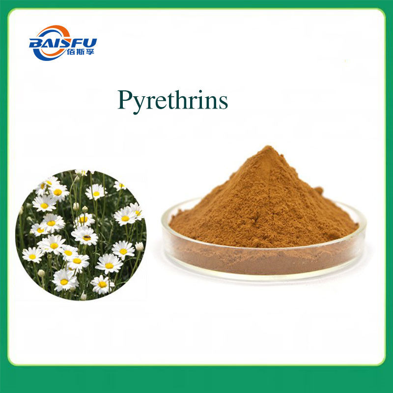 Pyrethrum Pure Plant Extract C43H56O8 CAS 8003-34-7 Multi Proportion
