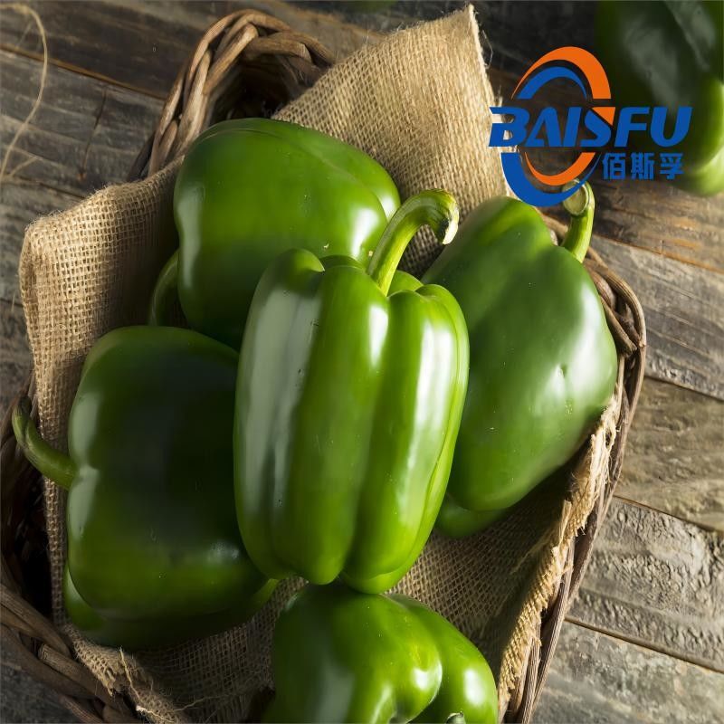 Saline Taste Flavor For Stir Fried Pork With Salty Baisfu Green Pepper Essence