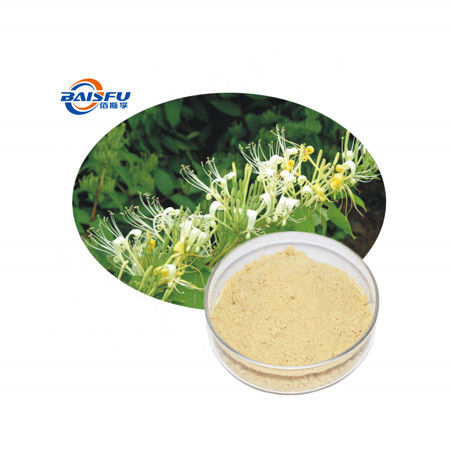 Baisfu plant extract powder Hot Selling Best Chlorogenic Acid root in Eucommia ulmoides, honeysuckle plants honeysuckle used in food