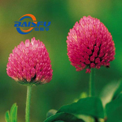 Baisfu Plant White Fine Powder High Quality Formononetin Used In food
