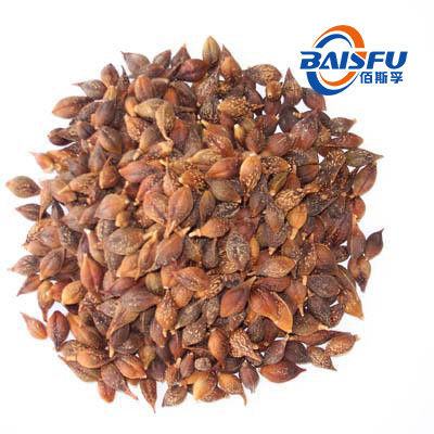 baisfu brown powder Best selling high quality Fructus Kochiae.P.E Tested by HPLC