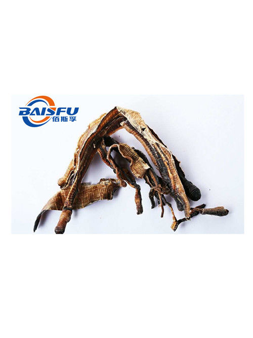 baisfu Yellow Brown powder Natural Pheretima.P.E 5:1,10:1,20:1 Test Method