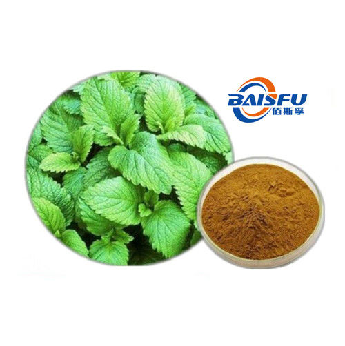 baisfu Brown Fine Powder Hot Sale Malaysia Top Grade Lemon Balm P.E., Pure Lemon Balm P.E. With Wholesale Price