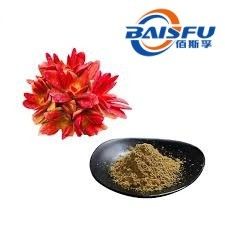 Shaanxi Baisfu herbal plant extract Brown fine powder Rosavines HPLC/UV-VIS Food Grade