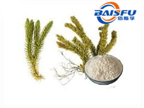 Shaanxi Baisfu plant extract White to brown powder huperzia serrata extract CAS No: 102518-79-6 Food Grade