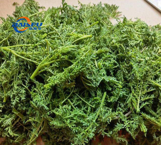 baisfu Colorless or pale yellow liquid Caraway Oil Countryside Distillation Extraction CAS NO.:8015-90-5