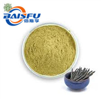 Shaanxi Baisfu herbal plant extract Yellow Powder Bitter butyl tea Food Grade For Tea Drink