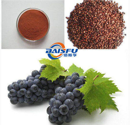 Baisfu Brown Powder Wholesales Factory High Quality Grade Seed Extract Proanthocyanidins(OPC) CAS NO.274678-42-1