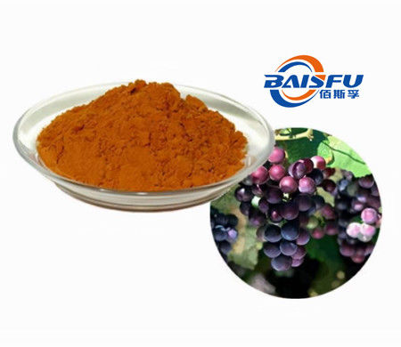 Baisfu Brown Powder Wholesales Factory High Quality Grade Seed Extract Proanthocyanidins(OPC) CAS NO.274678-42-1