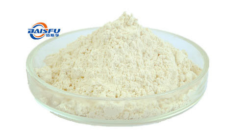 Baisfu White Powder Reasonable Price High Quality R-Ginsenoside Rh1 Fast Delivery CAS NO.80952-71-2
