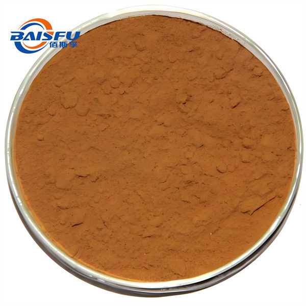 White Powder High Quality Hot Selling Organic Nature Rosmarinic acid CAS NO. 20283-92-5