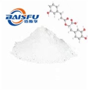 Factory Supply High Quality Hot Selling Organic 98% Rosmarinic acid CAS NO. 20283-92-5