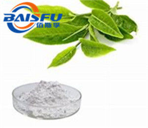 Hot selling Herbal Extract Green Tea Polyphenol Capsule