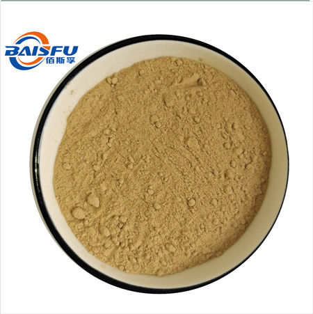 Baisfu Light Yellow Brown Powder Macleaya Cordata R Br Plant Extract Chelerythrine 10% 40% 60% CAS.: 34316-15-9