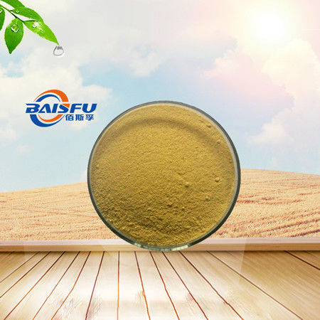 Baisfu Yellow Powder Factories Sell High Quality Natural IKarisoside A, Hot Selling IKarisoside A CAS.: 55395-07-8