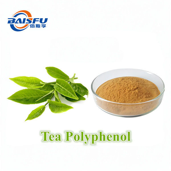 Hot Sell High Quality Green Tea Polyphenol Capsule For Food Additives