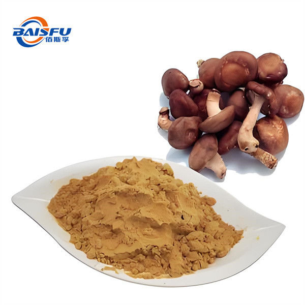 98% Shitake Mushroom Extract 20% Lentinan Cold Temperature Storage with No Light