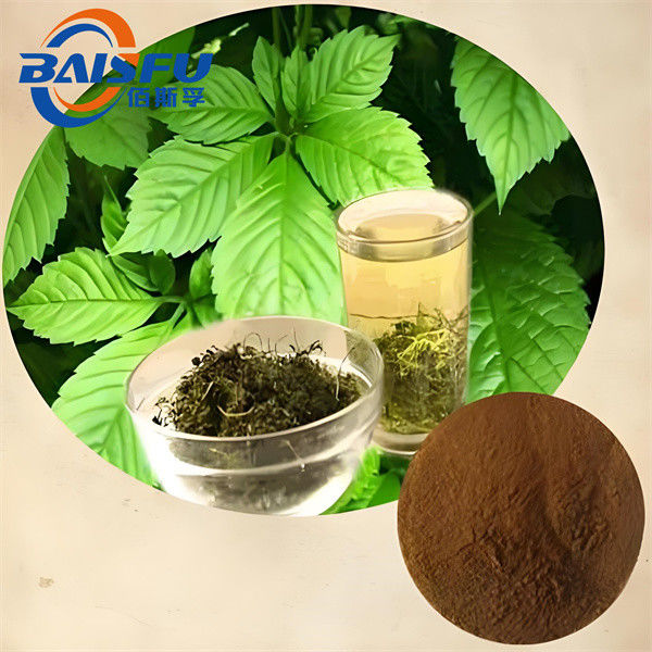Gynostemma Pentaphylla Jiaogulan Tea / Powder with 100% Natural Ingredients and 98% Spec