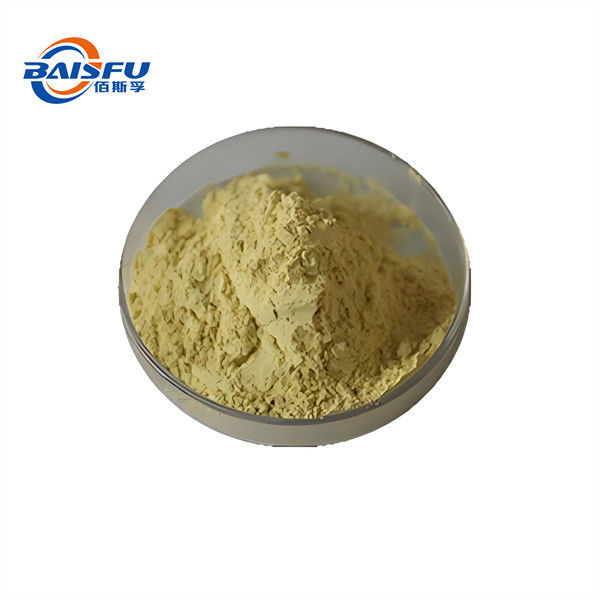 Natural High Quality Selenium Enriched Yeast Hot Selling With Factory Price