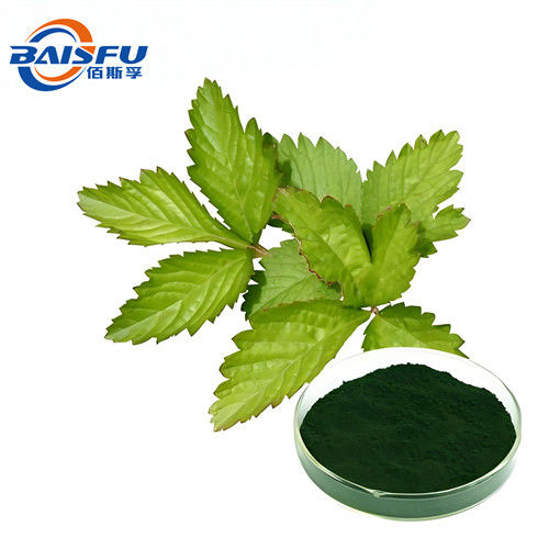Wholesales Factory High Quality Reasonable Price High Quality Fast Delivery Stock On Sale Chlorophyll