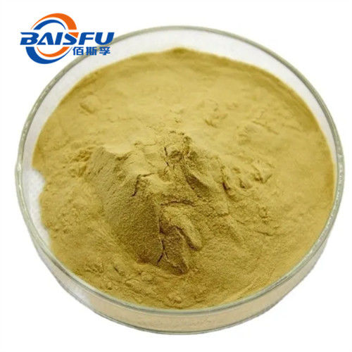 Hot Selling Natural High Quality Yeast Extracts With Factory Price CAS No. 8013-01-2