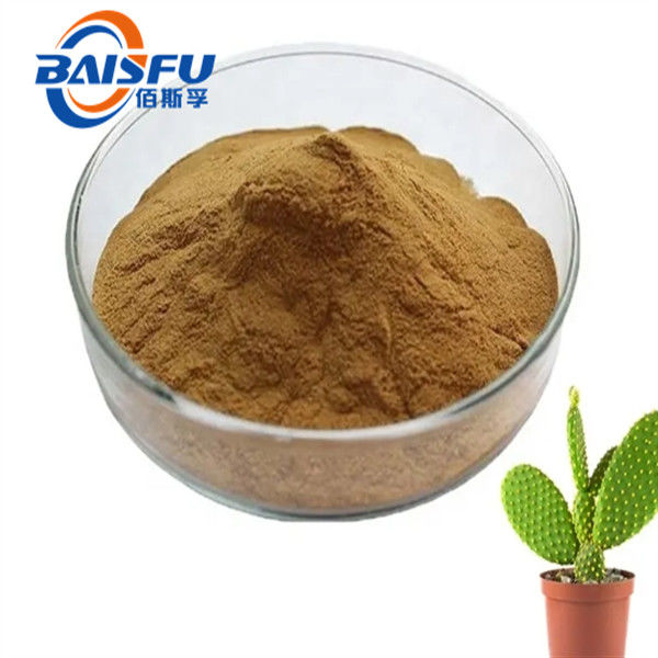 Factory Provide High Quality Pure Natural Organic Golden Rod /Solidago Extract Powder Flavonoids 5% Solidago Extract10:1
