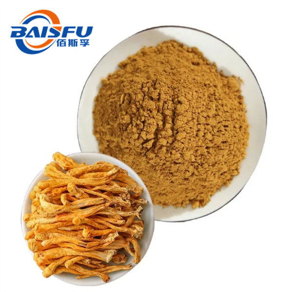 Manufactory Wholesale Pure Cordyceps Sinensis Mycelium Powder CAS No.: 73-03-0