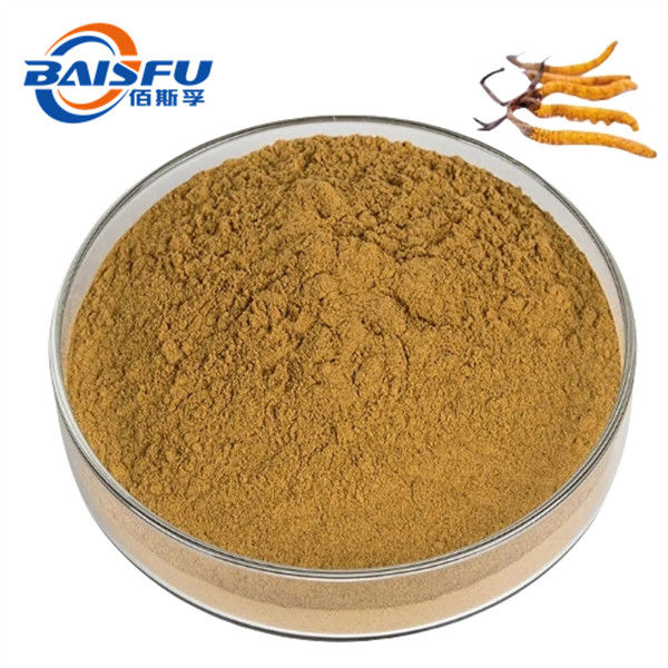 Manufactory Wholesale Pure Cordyceps Sinensis Mycelium Powder CAS No.: 73-03-0
