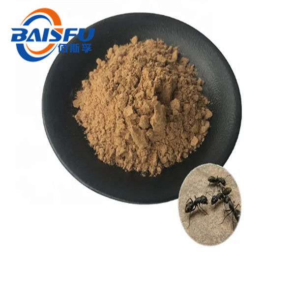 Highly Concentrated Black Ant Extract Used in Pharmaceutical Field 99% Purity