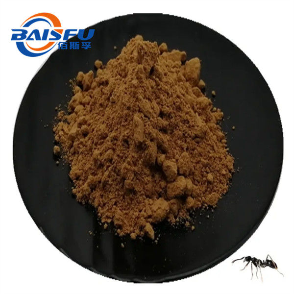Highly Concentrated Black Ant Extract Used in Pharmaceutical Field 99% Purity