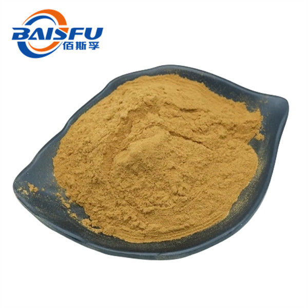 Pure Brown Fine Powder Radix Platycodonis P.E.