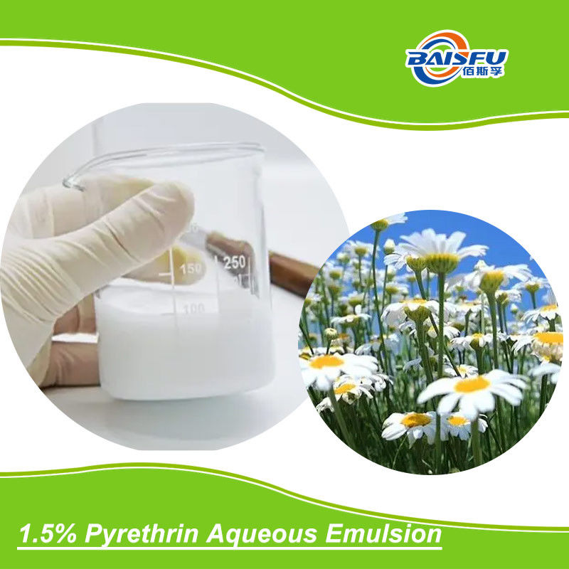 50% Pyrethrin CAS 8003-34-7 Plant Extract Derived From Natural Green Worry-Free