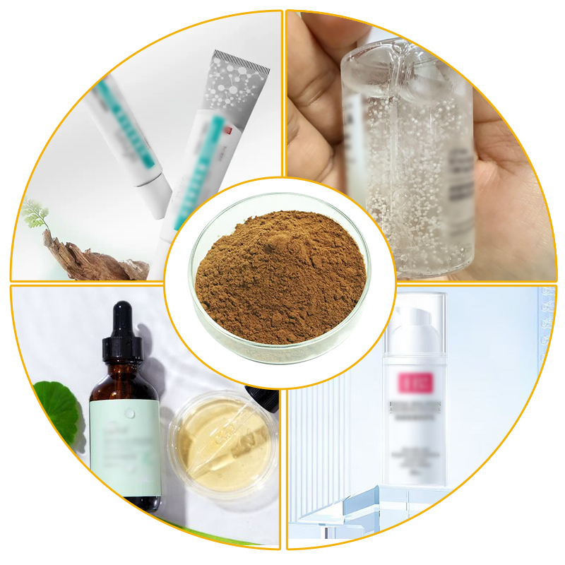 Baisfu Plant Extract Powder Hot Selling Natural Asiaticoside Used In cosmetics