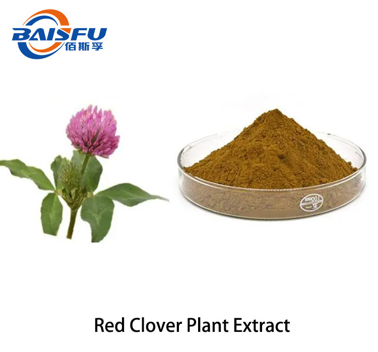 Natural Red Clover Extract Powder Plant-based Extract Supplement Suitable for Women's Health, Bone and Heart Care