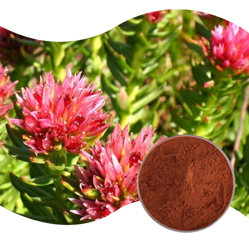 Baisfu Natural organic Rhodiola Rosea extract powder high quality Brownish-yellow fine powder for Functional food additives and cosmetic