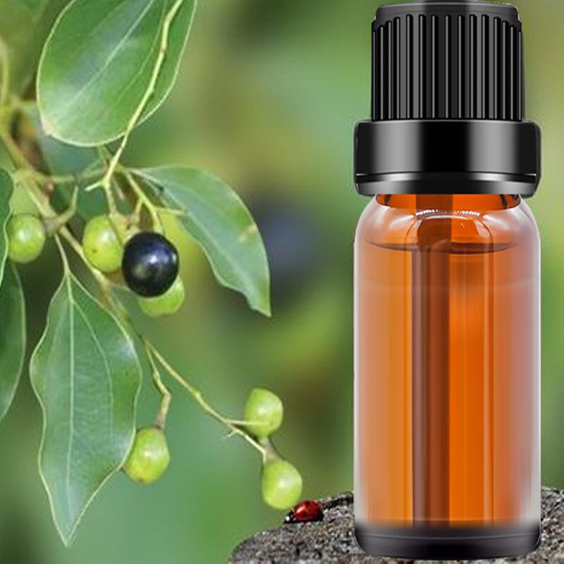 Baisfu pure plant Camphor Oil Best Quality Light Yellow Oily Liquid for Spices and Cosmetic Raw Materials