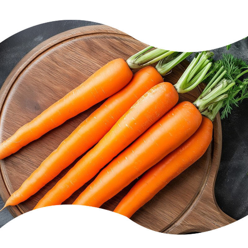 Natural Carrot Powder Flavor for Baking Offering Authentic Flavor Profiles Suitable