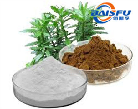 Shaanxi Baisfu plant extract White to brown powder huperzia serrata extract CAS No: 102518-79-6 Food Grade